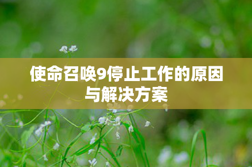 使命召唤9停止工作的原因与解决方案 使命召唤9停止工作的原因与解决方案
