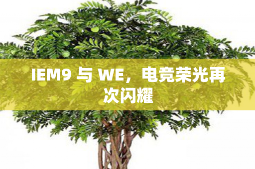 IEM9 与 WE,电竞荣光再次闪耀 IEM9 与 WE,电竞荣光再次闪耀