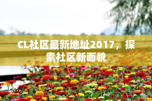 CL社区最新地址2017，探索社区新面貌