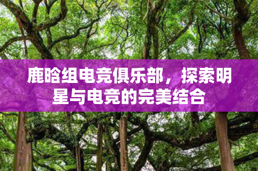 鹿晗组电竞俱乐部，探索明星与电竞的完美结合