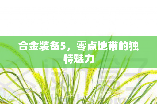合金装备5,零点地带的独特魅力 合金装备5,零点地带的独特魅力