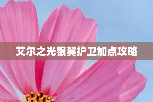 艾尔之光银翼护卫加点攻略