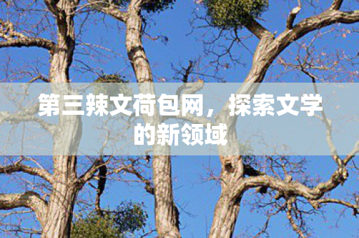 第三辣文荷包网,探索文学的新领域 第三辣文荷包网,探索文学的新领域