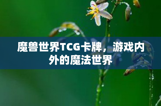 魔兽世界TCG卡牌，游戏内外的魔法世界