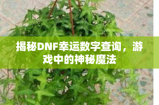 揭秘DNF幸运数字查询,游戏中的神秘魔法 揭秘DNF幸运数字查询,游戏中的神秘魔法
