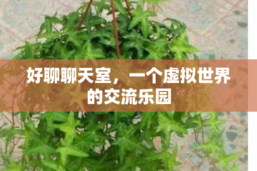好聊聊天室,一个虚拟世界的交流乐园 好聊聊天室,一个虚拟世界的交流乐园