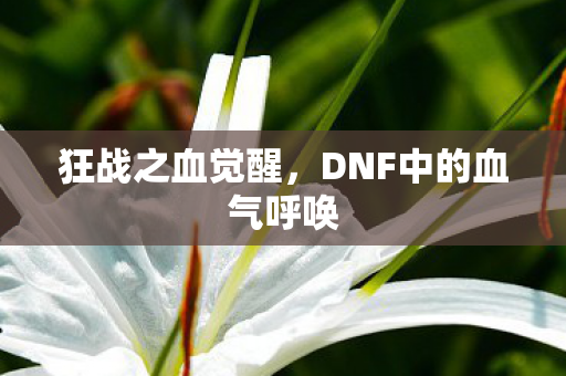 狂战之血觉醒,DNF中的血气呼唤 狂战之血觉醒,DNF中的血气呼唤