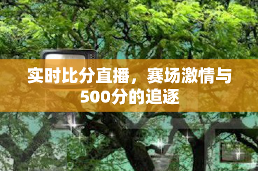 实时比分直播,赛场激情与500分的追逐 实时比分直播,赛场激情与500分的追逐