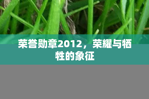 荣誉勋章2012，荣耀与牺牲的象征