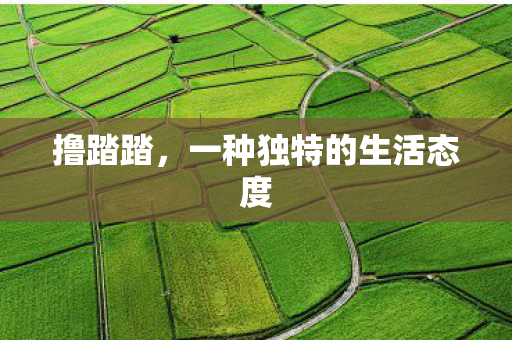 撸踏踏,一种独特的生活态度 撸踏踏,一种独特的生活态度