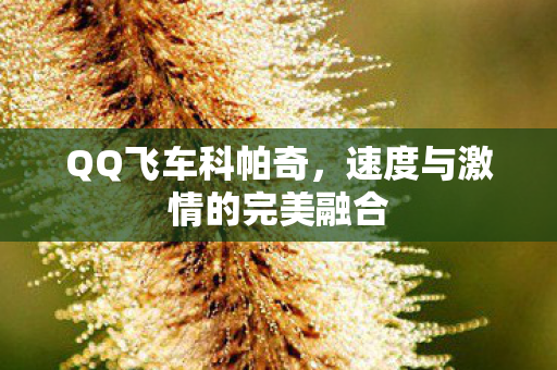 QQ飞车科帕奇,速度与激情的完美融合 QQ飞车科帕奇,速度与激情的完美融合