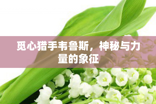 觅心猎手韦鲁斯,神秘与力量的象征 觅心猎手韦鲁斯,神秘与力量的象征