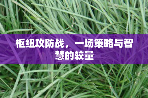 枢纽攻防战，一场策略与智慧的较量
