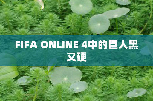 FIFA ONLINE 4中的巨人黑又硬 FIFA ONLINE 4中的巨人黑又硬