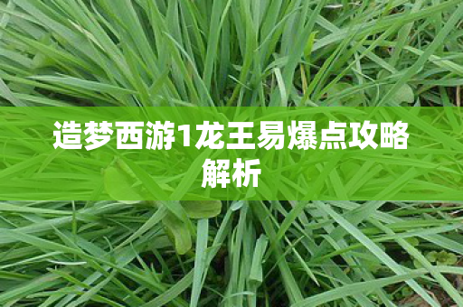 造梦西游1龙王易爆点攻略解析 造梦西游1龙王易爆点攻略解析