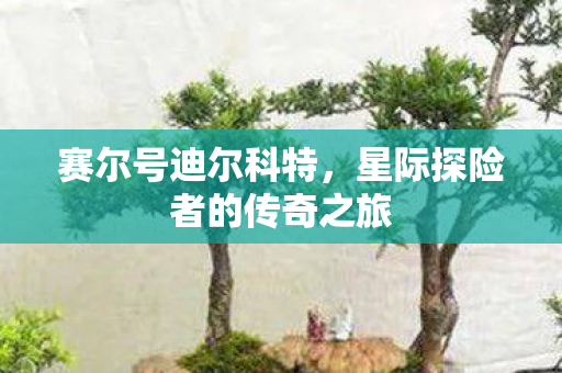 赛尔号迪尔科特,星际探险者的传奇之旅 赛尔号迪尔科特,星际探险者的传奇之旅