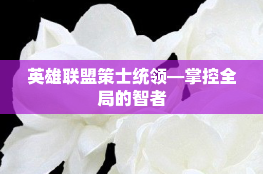 英雄联盟策士统领—掌控全局的智者 英雄联盟策士统领—掌控全局的智者