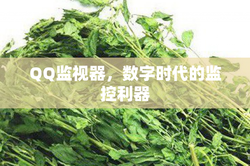 QQ监视器,数字时代的监控利器 QQ监视器,数字时代的监控利器