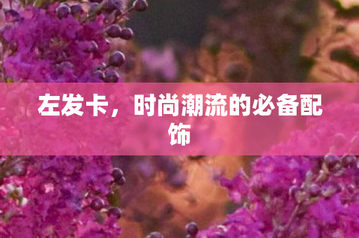 左发卡,时尚潮流的必备配饰 左发卡,时尚潮流的必备配饰