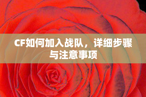 CF如何加入战队,详细步骤与注意事项 CF如何加入战队,详细步骤与注意事项