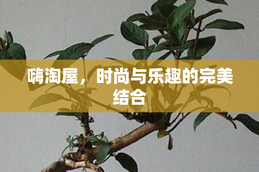 嗨淘屋，时尚与乐趣的完美结合