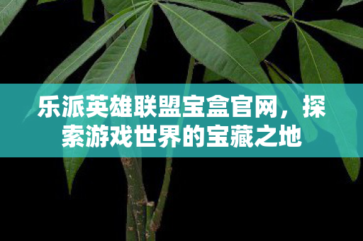 乐派英雄联盟宝盒官网，探索游戏世界的宝藏之地