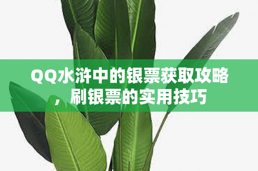 QQ水浒中的银票获取攻略，刷银票的实用技巧