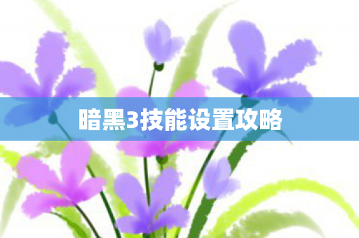 暗黑3技能设置攻略 暗黑3技能设置攻略