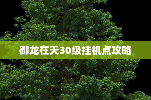 御龙在天30级挂机点攻略