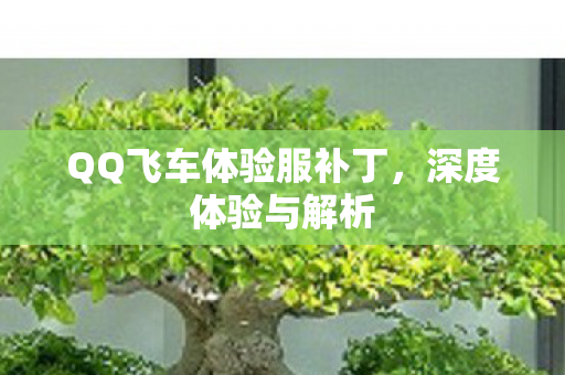 QQ飞车体验服补丁,深度体验与解析 QQ飞车体验服补丁,深度体验与解析