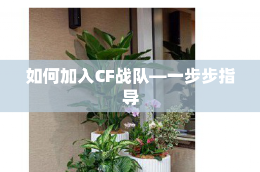 如何加入CF战队—一步步指导 如何加入CF战队—一步步指导