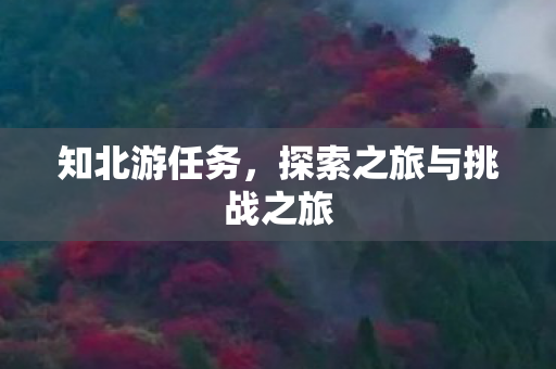 知北游任务,探索之旅与挑战之旅 知北游任务,探索之旅与挑战之旅