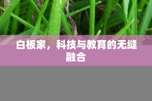 白板家,科技与教育的无缝融合 白板家,科技与教育的无缝融合