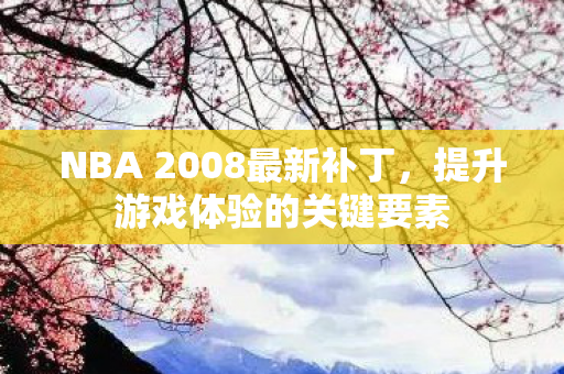 NBA 2008最新补丁,提升游戏体验的关键要素 NBA 2008最新补丁,提升游戏体验的关键要素