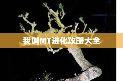 我叫MT进化攻略大全 我叫MT进化攻略大全