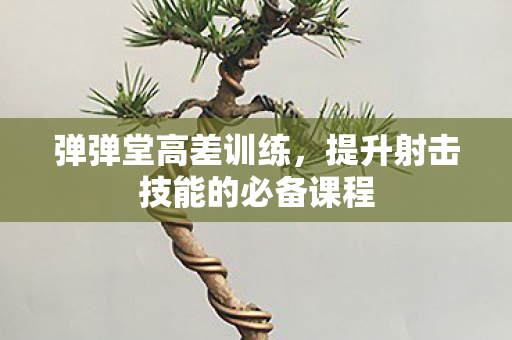 弹弹堂高差训练,提升射击技能的必备课程 弹弹堂高差训练,提升射击技能的必备课程