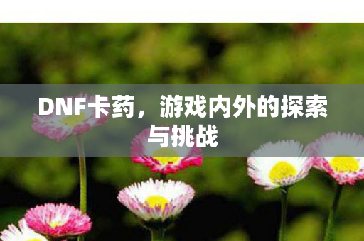 DNF卡药,游戏内外的探索与挑战 DNF卡药,游戏内外的探索与挑战