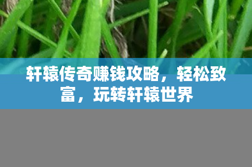轩辕传奇赚钱攻略，轻松致富，玩转轩辕世界