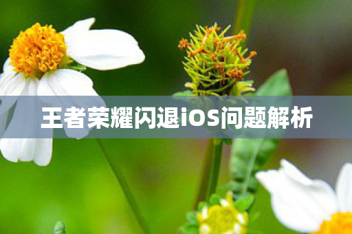 王者荣耀闪退iOS问题解析 王者荣耀闪退iOS问题解析