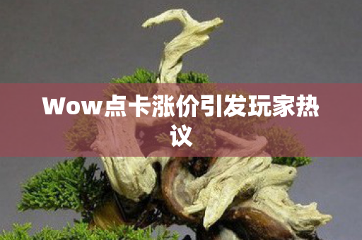 Wow点卡涨价引发玩家热议 Wow点卡涨价引发玩家热议