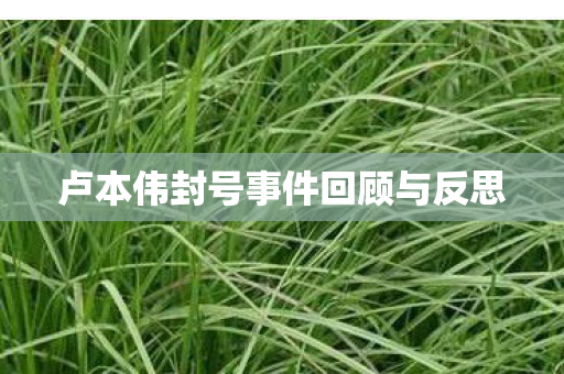 卢本伟封号事件回顾与反思 卢本伟封号事件回顾与反思