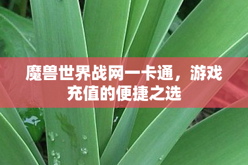 魔兽世界战网一卡通，游戏充值的便捷之选