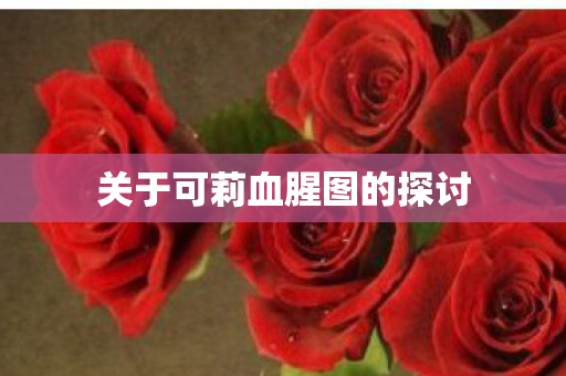 关于可莉血腥图的探讨 关于可莉血腥图的探讨