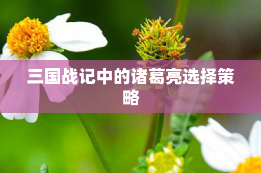 三国战记中的诸葛亮选择策略 三国战记中的诸葛亮选择策略