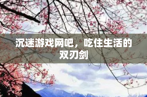 沉迷游戏网吧,吃住生活的双刃剑 沉迷游戏网吧,吃住生活的双刃剑
