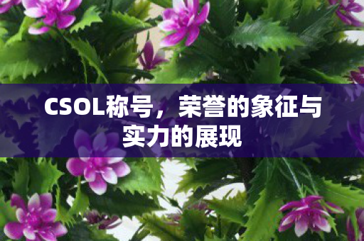 CSOL称号,荣誉的象征与实力的展现 CSOL称号,荣誉的象征与实力的展现