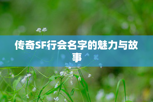 传奇SF行会名字的魅力与故事 传奇SF行会名字的魅力与故事