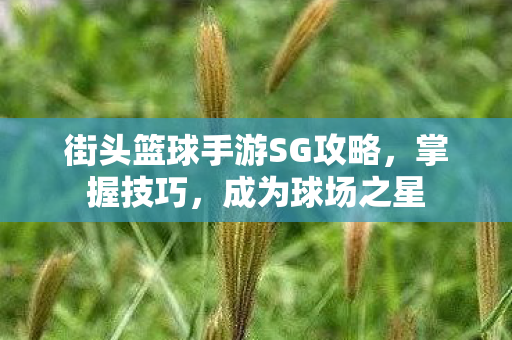 街头篮球手游SG攻略,掌握技巧,成为球场之星 街头篮球手游SG攻略,掌握技巧,成为球场之星