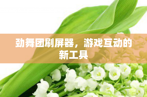 劲舞团刷屏器，游戏互动的新工具