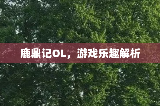 鹿鼎记OL,游戏乐趣解析 鹿鼎记OL,游戏乐趣解析